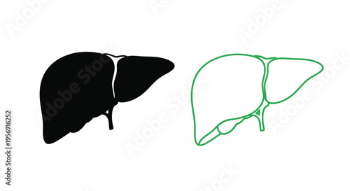 Anatomical illustration of a liver black and green with a silhouette