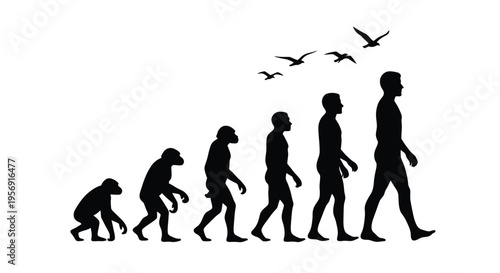 Human evolution depicted through a series of black silhouettes