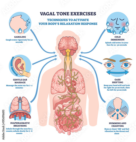 Vagal tone exercises illustrate calming techniques via the vagus nerve, brain, and lungs, with icons for breathing, cold splash, gargling, gaze shift, humming, and ear massage. Outline diagram