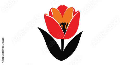 A vibrant red and orange tulip flower in stark silhouette