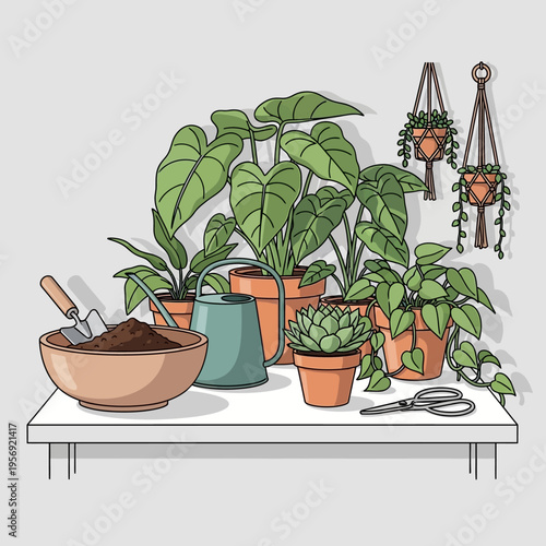 Gardening supplies and houseplants on a shelf, indoor plant care and home decor