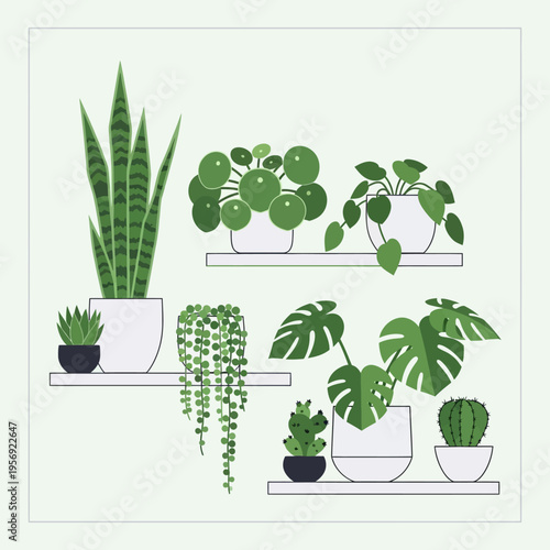 Various potted houseplants on shelves, illustration, minimalist style, green and white