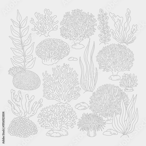 Underwater Coral Reef Plants and Rocks Line Art Illustration