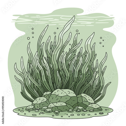 Underwater kelp forest with rocks and bubbles, aquatic plant life, ocean floor ecosystem