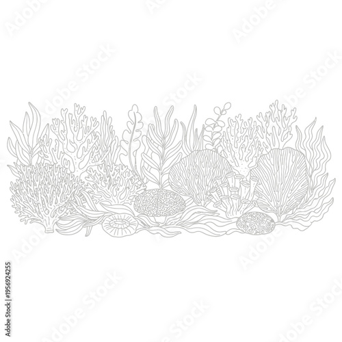 Underwater Coral Reef Ecosystem Line Art Illustration