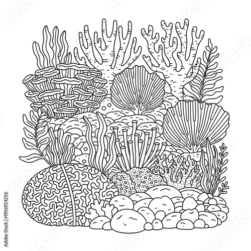 Underwater Coral Reef Ecosystem with Diverse Marine Life and Rocks