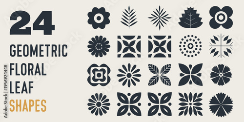 Collection of geometric floral and leaf shapes with the number twenty four
