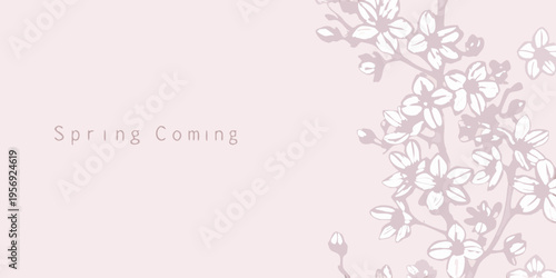 Delicate cherry blossom branches adorn a pale pink background