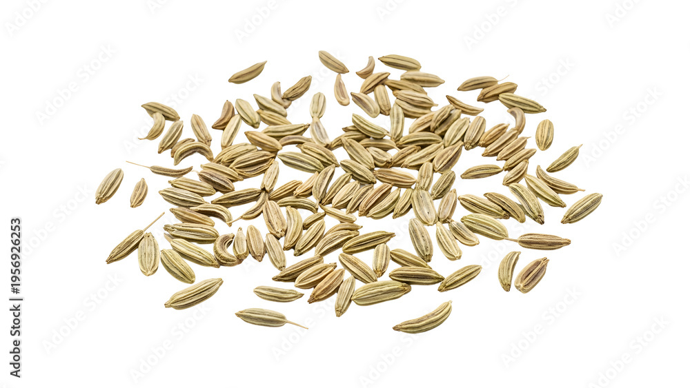 Obraz premium Detailed close-up of Fennel Seeds displayed on a neutral background with even lighting, showcasing their texture and color for culinary or nutritional content