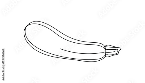 One continuous line illustration of an Courgette vegetable, isolated on white background.
