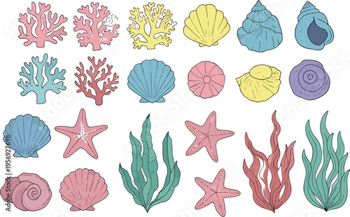 Pastel sea elements collection with shells coral starfish and seaweed ocean cartoon vector illustration set isolated