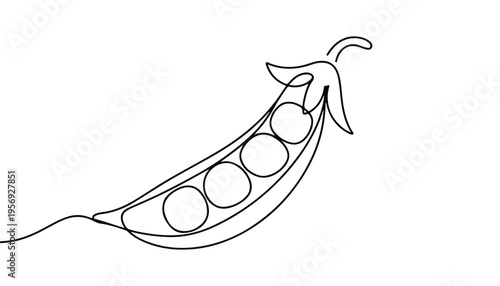 One continuous line illustration of an Peas vegetable, isolated on white background.