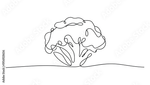 One continuous line illustration of an Cauliflower vegetable, isolated on white background.