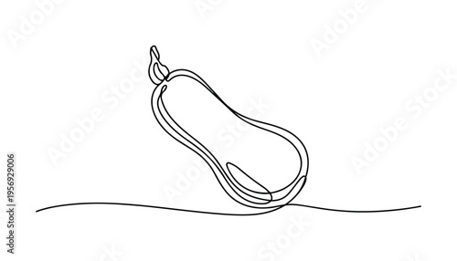 One continuous line illustration of an Butternut Squash vegetable, isolated on white background.