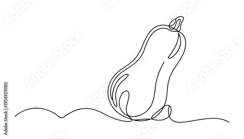 One continuous line illustration of an Butternut Squash vegetable, isolated on white background.
