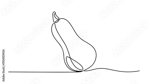 One continuous line illustration of an Butternut Squash vegetable, isolated on white background.