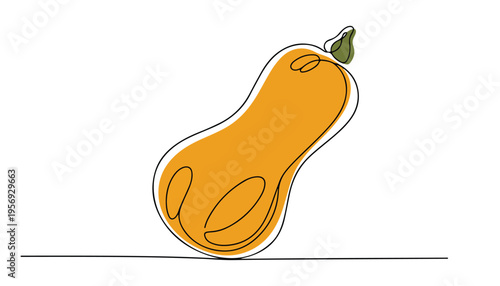 One continuous line illustration of an Butternut Squash vegetable, isolated on white background.