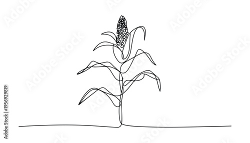 One continuous line illustration of an Corn vegetable, isolated on white background.