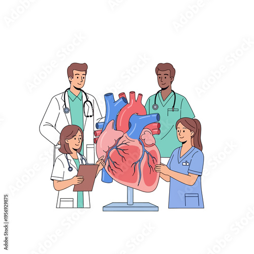 Medical Team Studying Human Heart Anatomy Model