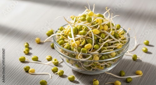 Fresh mung bean sprouts in a glass bowl on a wooden table