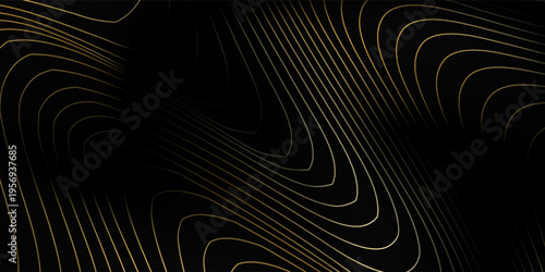 The black background features thin, curved lines in gold and white that run horizontally, giving the image a luxurious and slightly moving look. This piece feels elegant and easy on the eyes