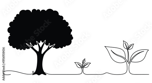 Growth and maturity a large tree alongside a small seedling