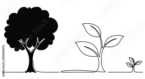 Contrasting trees a full dark tree and a delicate growing sprout