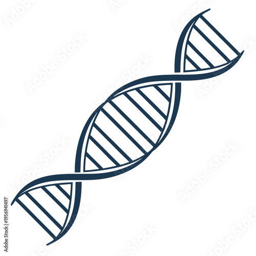 Dna double helix in dark blue white background biology genetics