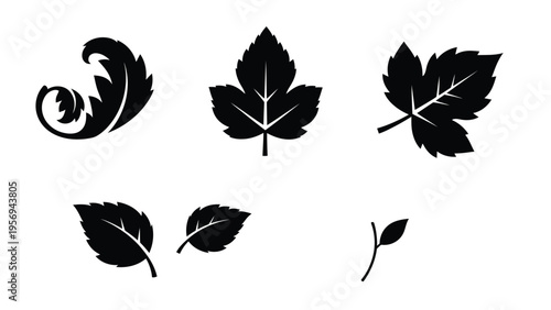 Image_fx (90) [Converted] copy.eps