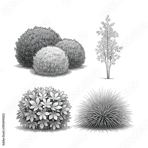 Vector illustrating several varieties of bushes and shrubs in different shapes and textures, including round and tall forms