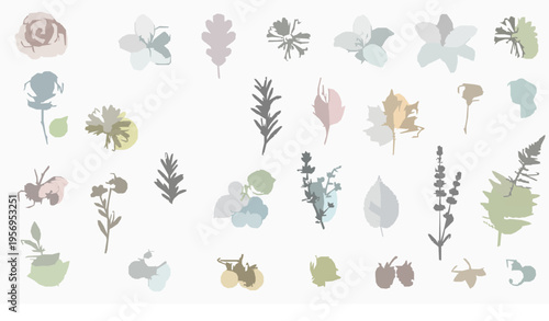 Floral and herbal elements decorative vector collection