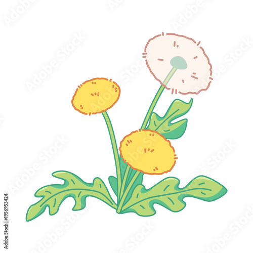 Fluffy dandelion with seeds. Cute spring icon of yellow flowers, cartoon plant. Isolated kawaii vector illustration on white.