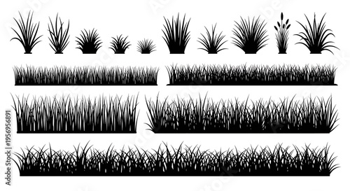 A collection of various black silhouettes featuring different types of ornamental meadow grasses