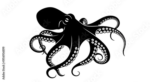 A detailed black silhouette of a giant octopus displaying its long tentacles and suction cups