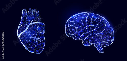 Abstract modern 3d vector human heart and brain. Wireframe low poly style, illustration on dark blue background.
