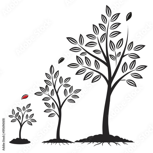 Tree growth stages with leaves falling