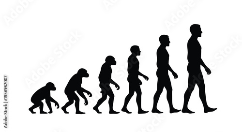 Human evolution depicted through a series of black silhouettes