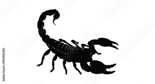 Detailed black scorpion illustration with pronounced features a striking silhouette