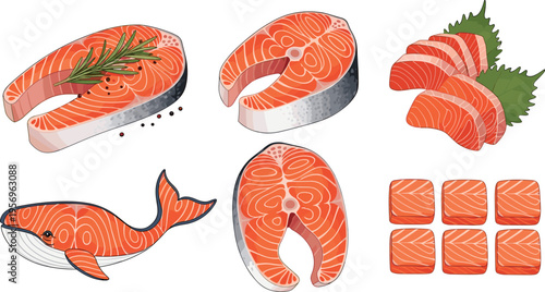 Fresh salmon fish cuts collection with fillet steak slices and seafood pieces vector illustration set