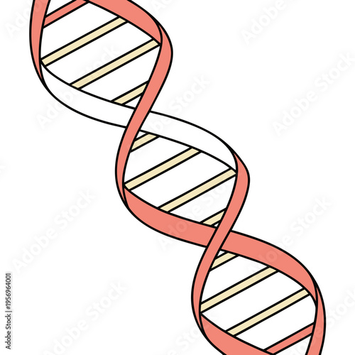 Dna double helix structure biology genetics