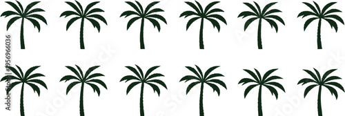 Black palm tree silhouettes on white background 1