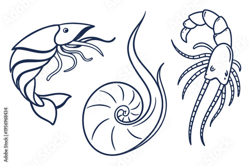 Blue line of sea creatures and shells shrimp nautilus line blue