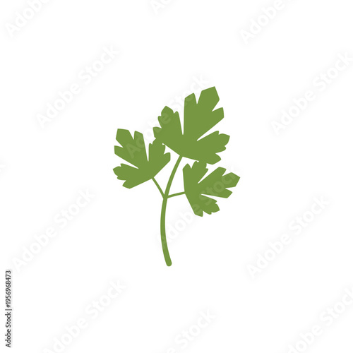 Green Parsley Leaves Icon Isolated on White Background, Fresh Herb, Culinary Ingredient