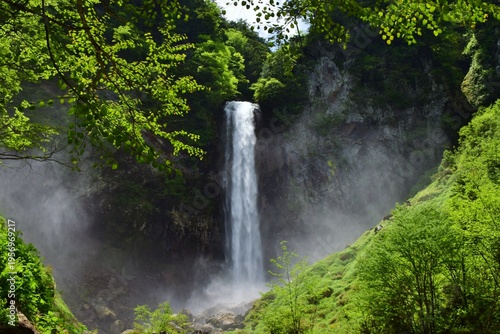 Wallpaper Mural 新緑に包まれる奥飛騨　平湯大滝 Torontodigital.ca