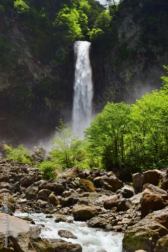 Wallpaper Mural 新緑に包まれる奥飛騨　平湯大滝 Torontodigital.ca