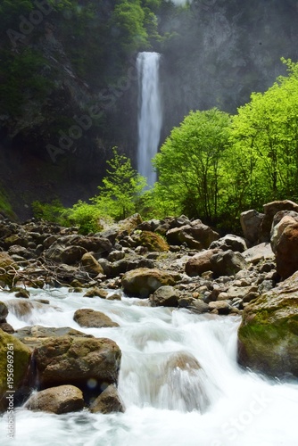 Wallpaper Mural 新緑に包まれる奥飛騨　平湯大滝 Torontodigital.ca