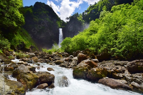 Wallpaper Mural 新緑に包まれる奥飛騨　平湯大滝 Torontodigital.ca