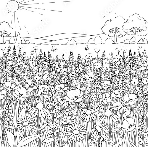 Black and white vector wildflower field illustration