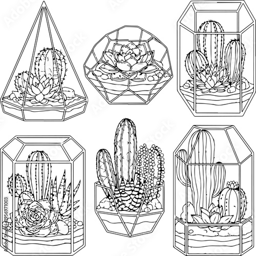 Set of 6 cactus and succulent vector illustrations in geometric terrariums