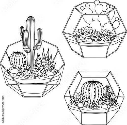 Set of 3 geometric terrarium illustrations vector